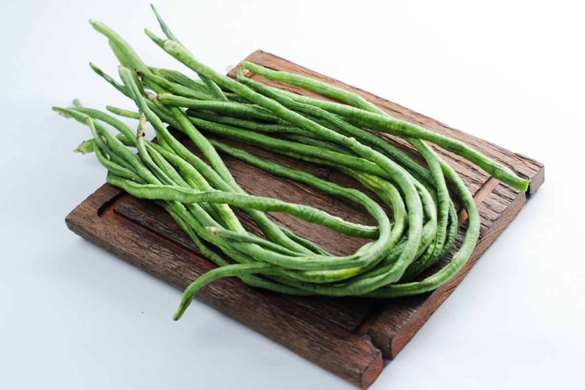 kacang panjang